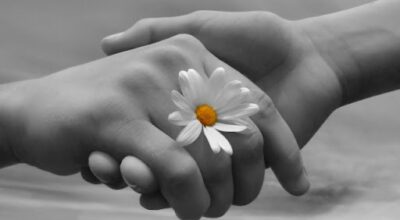 Pro.V.I. 2025: Progetti di Vita indipendente. Domande a partire dal 24 marzo 2025